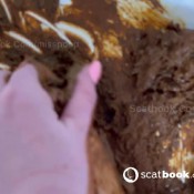 Misspoop Little game in the bathtub