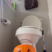 Iloveraine Halloween Poop Rainee