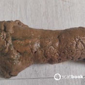 Kittyskatt I Cum So Hard I Shit Myself Right On The Floor Kitty Klitt