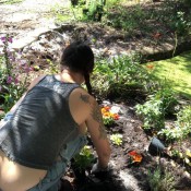 Pregnant Faerylovely Butt Crack Gardening
