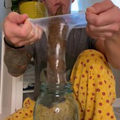 Pulsiferpaprocki Condom Poop Pulsifer Paprocki