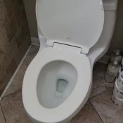 Chicagodomme Dehumanized