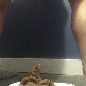 Deep_impact Adding To The Tupperware