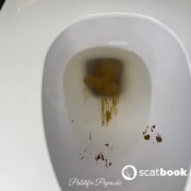 Pulsiferpaprocki Beautiful Girthy Log Pulsifer Paprocki