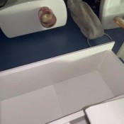 Deep_impact Poopy White Panties