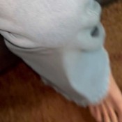 Deep_impact Babysitter Shitter