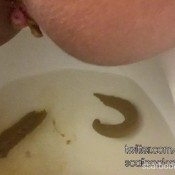 Letherripp Break Every Hotel Toilet In Jezebel Juice