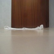 Joy Angeles September2010youngmodel1