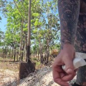 Tattedflapz Pooping On Valued Rocks