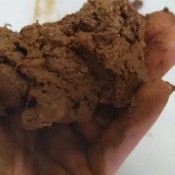 Ladyphoenix97 Asmr Scat Lady Phoenix