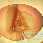 Joyangeles-frabowlcam Joy Angeles