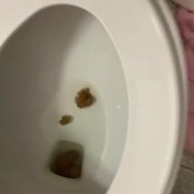 Animiami123 Pooping