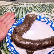 Rock Solid Log Pulsiferpaprocki Pulsifer Paprocki