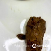 Pulsiferpaprocki Great Shit After Weekend W Slave Pulsifer Paprocki