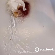 red river of shit pulsiferpaprocki