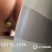 Msbearington Peek A Poo JuliaMarie