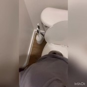 Sweetiescat Poo View Above SweetiesToes