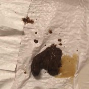 Iamkapri Nasty Shit Kapri Styles