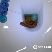 Bitterscat Toilet Poop 7 And 8