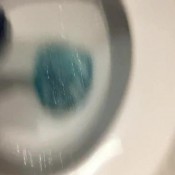 Ellagilbert 5 Days Bowel Movement Compilation Ella Gilbert