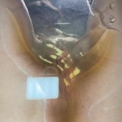 Boatbunny My Pissy Throne