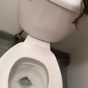 Horny_hippie_ My Peeing Process Hannah Hunt