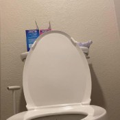 Scorpiostephie Diarrhea Being Sick