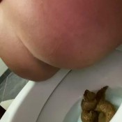 Whey2muchpoo My Best Shit In Awhile. Huge And A Nice Fat Pee Out My Pretty Pussy Lexa Stahl