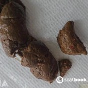 Latsuna Thick Turd On A Table Lady Tsunami