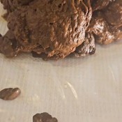 Lady Tsunam Fin.gravity Lady Tsunami