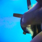 Rayray Sugarbutt Witchy Woman Rayray October Cumpilation