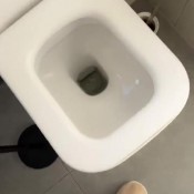 Aeluin The aftermath of mixing my burger and milkshake in my Five Guys mukbang I was feeling so bad and my stomach was gurgling and painful. Omg I Blew Up The Toilet With Sharts And Farts Again