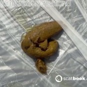 Brownsensation8 Dirty Panties - Took A Nice Shit In My Panties Brownsensations