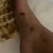 Goddessnixie123 Good Morning Shit Eaters And Piss Drinkers Goddess Nixie