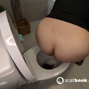 yourfantasy6190 pooping in toilet 56