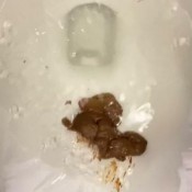 Goddessnixie123 A Quick Scat Public In Walmart And I Clogged The Toilet Goddess Nixie