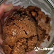 Kittyskatt Filling The Jar For Storage Kitty Klitt