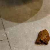 Kittyskatt Blooper Pooper Pt 3 Thick Log Falls Off The Toilet Seat Kitty Klitt