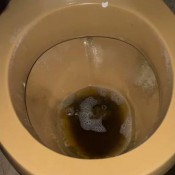 Dulceemarsex No Filter Just Me Shitting Nice And Close