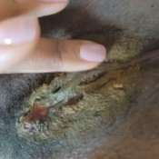 Lostgirlnz Play Day - While Working