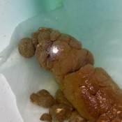 Reignzplayhouse This Shit Feel Amazing Coming Out I Was Moaning In Pleasure I Should Have Recorded It But I Wanted To Enjoy The Feeling Goddess Reign