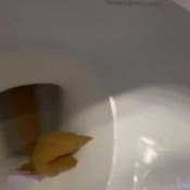 Imscatbitch_ Creamy Shit