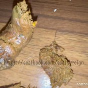 Reignzplayhouse Watch Me Twerk And Bounce My Juicy Ass I Will Also Spread My Ass And Show Off My Pretty Ass Hole Goddess Reign