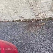 Kaitlynkatsaros Couldnt Hold It Any Longer Omg Lmaoooo Kaitlyn Katsaros