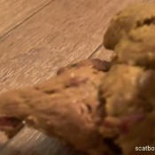 Reignzplayhouse You Dream About Eating A Pile Of My Shit For Lunch One Day Goddess Reign