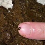 4k Detailed Dine And Dump Inspection 1 2 Joy June