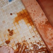 Awesome Diarrhea Lamia Dark
