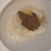 Reignzplayhouse Thick Toilet Shit Heres The Aftermath Of My Last Video Go Ahead And Pick The Corn Out One By One And Eat It Up Dookie Boy Goddess Reign