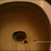 Ana Didovic Brown Gold In Brown Bathroom