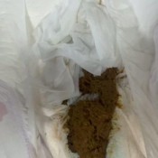 Paddedzebra 51525 Emma Rivers